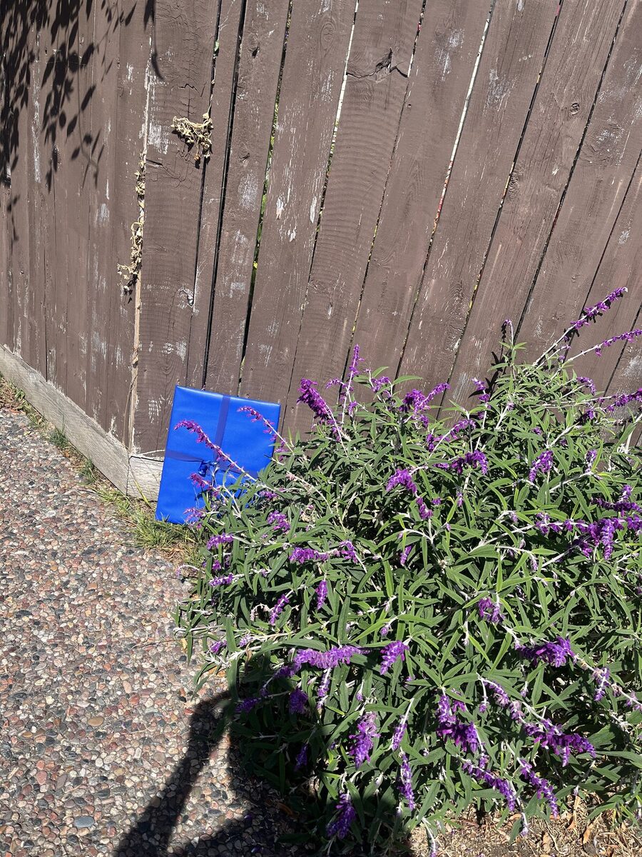 Gift-wrapped artwork #484 placed beside purple flowers and a wooden fence