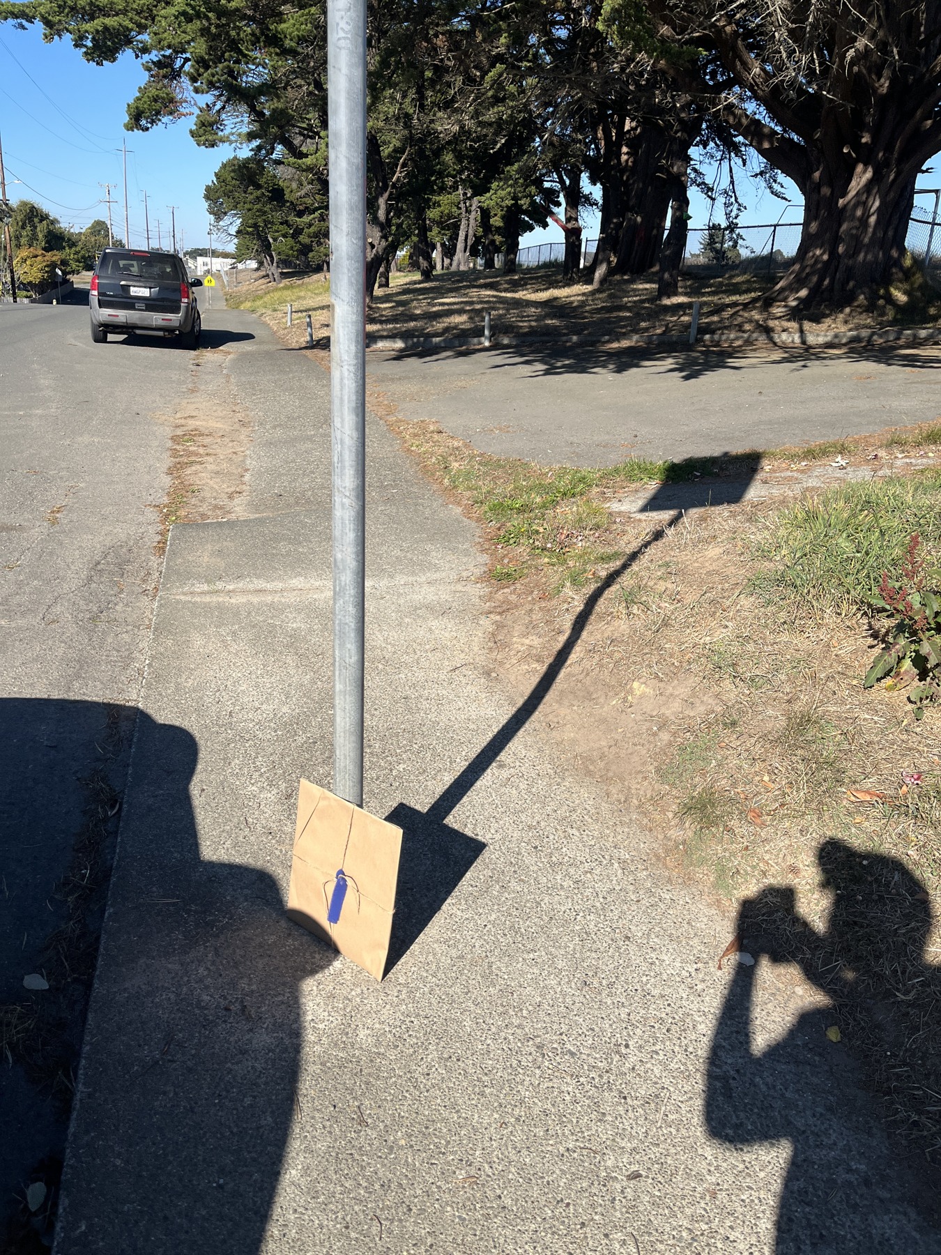 Art Drop #13: Beside a street sign and trees in Eureka
