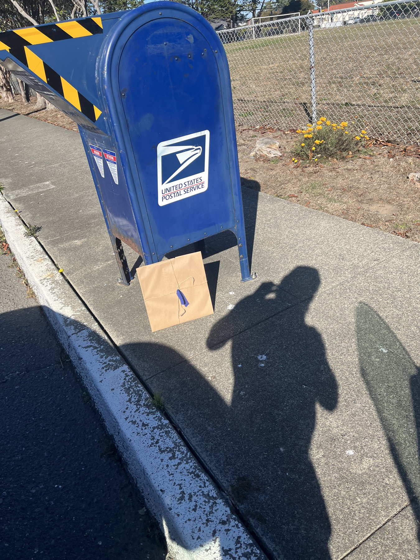 Art Drop #15: Beside a blue USPS collection box in Eureka