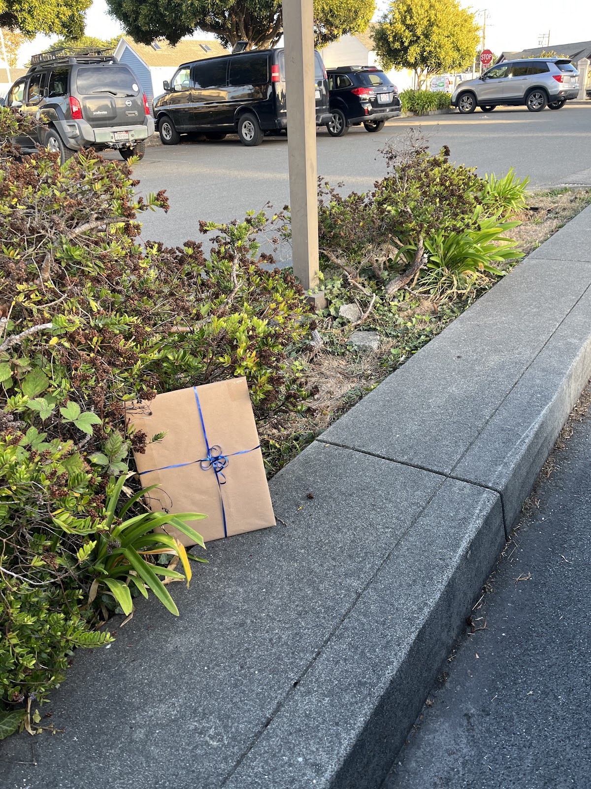 Gift-wrapped artwork placed beside a sidewalk planting bed for Art Drop #7