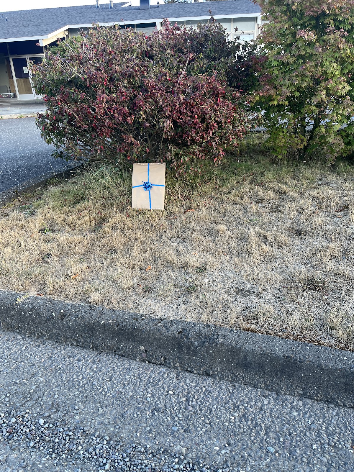 Gift-wrapped artwork placed beside a shrub and curb for Art Drop #6